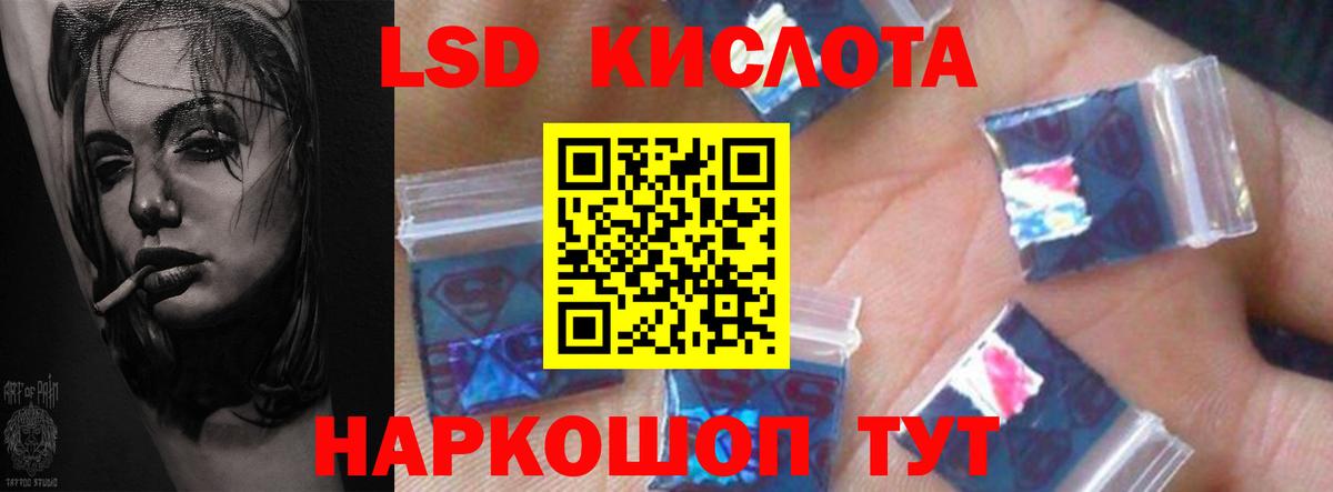 ЛСД экстази ecstasy  Вход с VPN    как войти  Новозыбков 