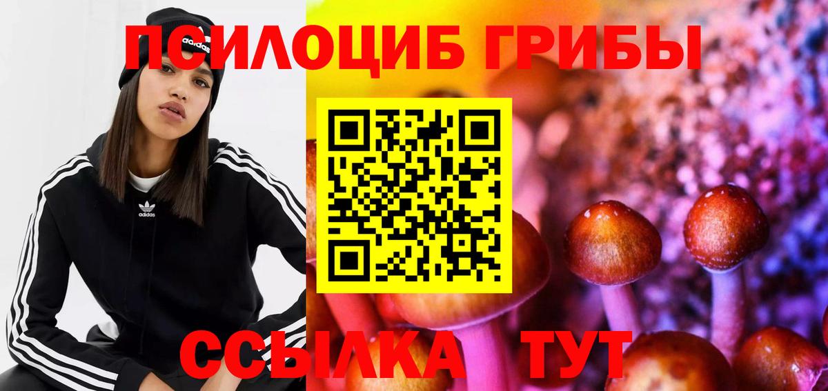 Галлюциногенные грибы GOLDEN TEACHER Новозыбков