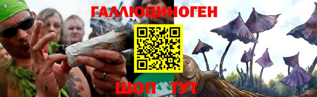 Псилоцибиновые грибы Psilocybine cubensis  Галлюциногенные грибы мухоморы  Вход с VPN  Новозыбков 
